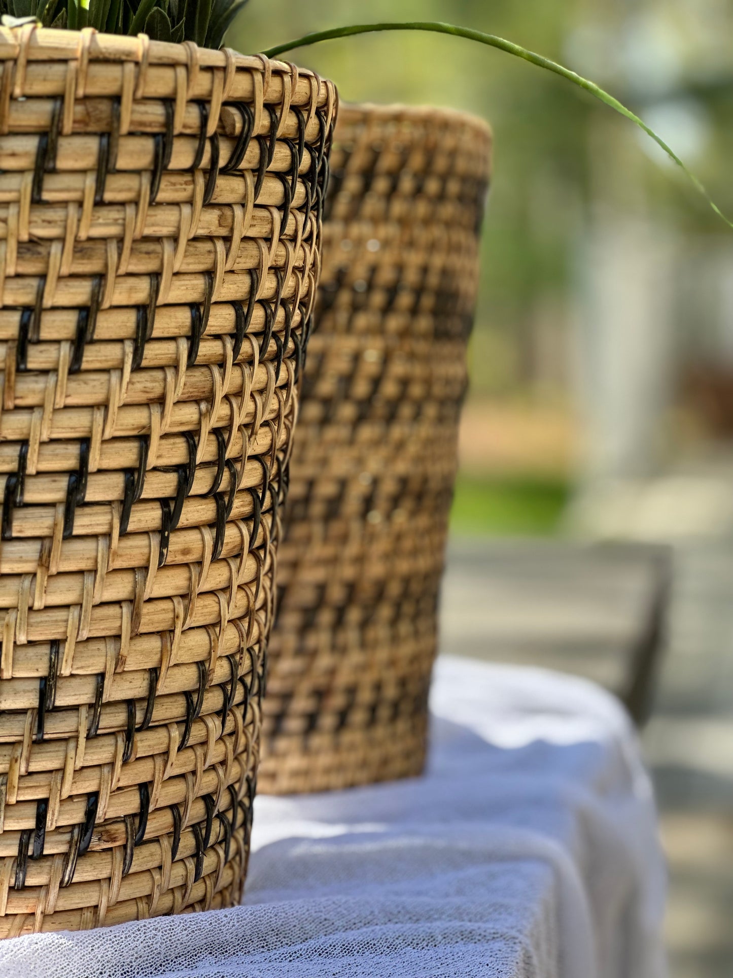 Striped Planter