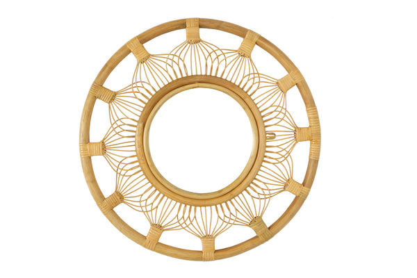 Whisker Mirror