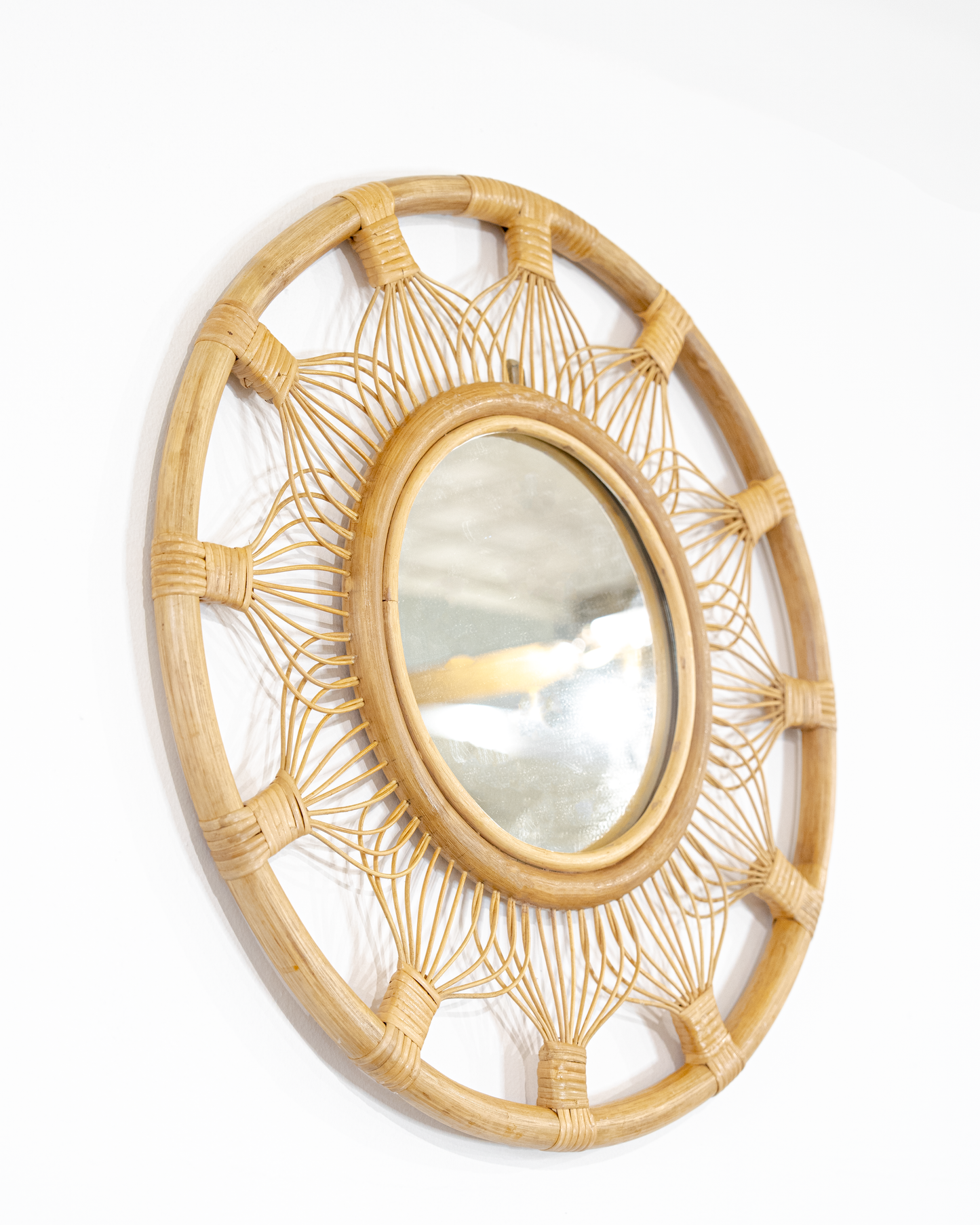 Whisker Mirror