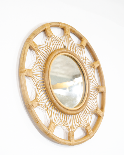 Whisker Mirror