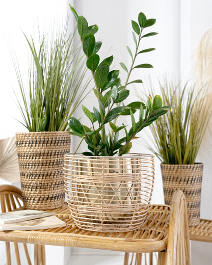 Iron and Cane Basket